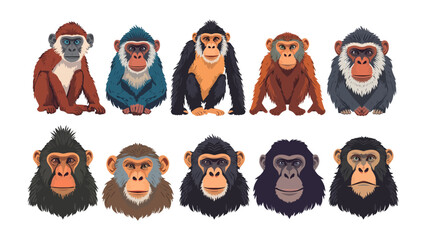A Troop of Monkeys: An artistic collection featuring ten distinct monkey illustrations, each rendered with unique colors and expressions, showcasing a variety of primate species. © mahmuda428