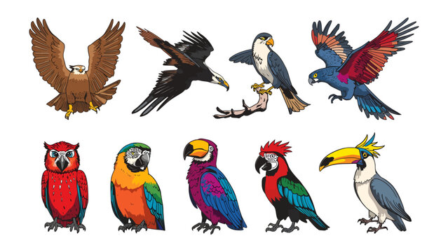 A Flock of Feathered Friends: A vibrant collection of diverse birds, from majestic eagles to colorful parrots and a wise owl, showcases the beauty and variety of avian life in this illustrative set.
