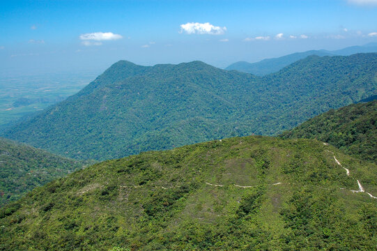 Khao Jed Yod (Seven Hills)  is the highest peak of the Banthat mountain range. It is covered in tropical rainforest and forms a boundary between Trang and Phatthalung provinces. Thailand.
