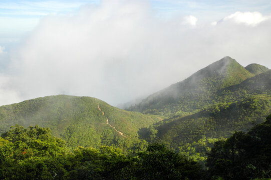 Khao Jed Yod (Seven Hills)  is the highest peak of the Banthat mountain range. It is covered in tropical rainforest and forms a boundary between Trang and Phatthalung provinces. Thailand.
