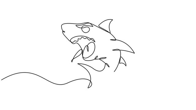 Animated self drawing of continuous line draw aggressive shark, Self drawing simple animation of continuous one line drawing. 4k video