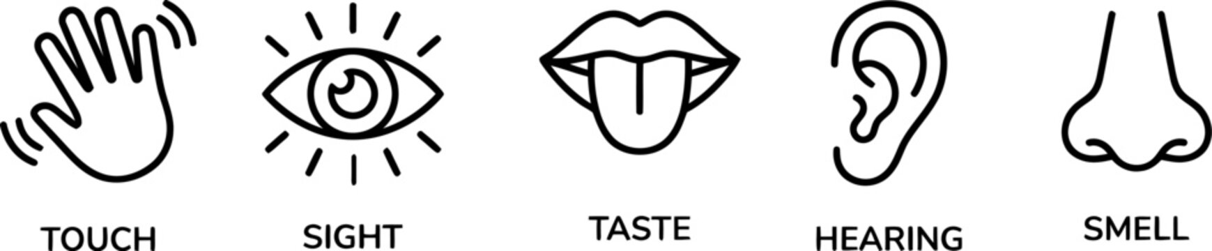 Black and white line art illustration of five human senses icons