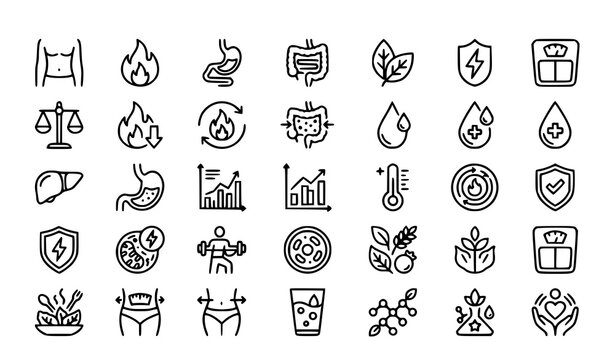 Human Metabolism and Detox Linear Icon Collection with Digestive Wellness Elements