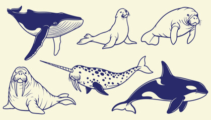 Marine Animal Illustration Set Featuring Whale Dolphin Orca Seal Walrus and Ocean Wildlife Elements in Hand Drawn Vector Style © Afiya bano
