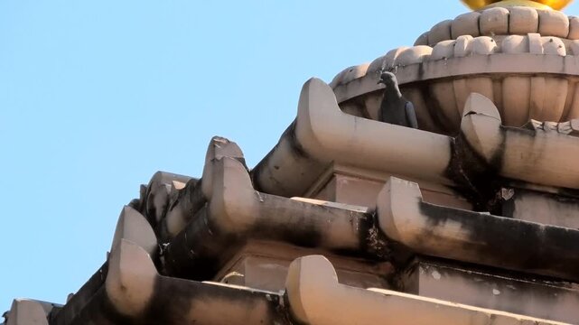 Pigeons are flying around above the Bhalka Tirth Temple, Somnath, Veraval, Gujarat, India