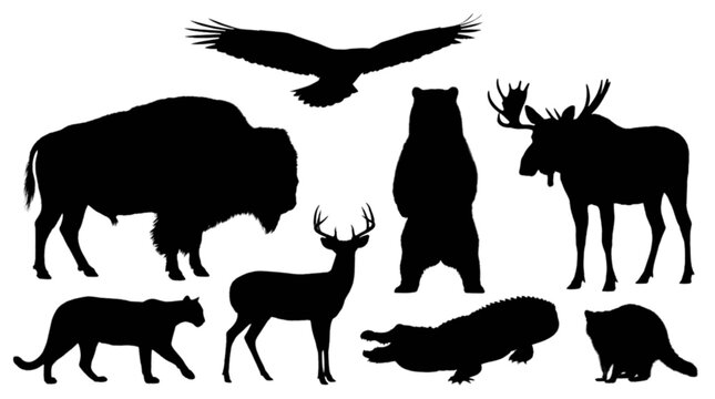 Black silhouettes of various wild animals