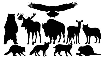 Black silhouettes of various wild animals © Md