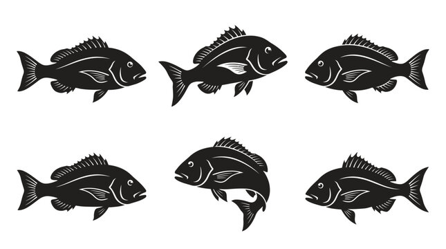 different black snapper silhouettes on a clean white background, minimalist vector style.