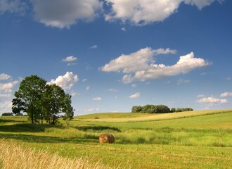 Obraz premium Summer rural landscape in full sun, under a blue sky.