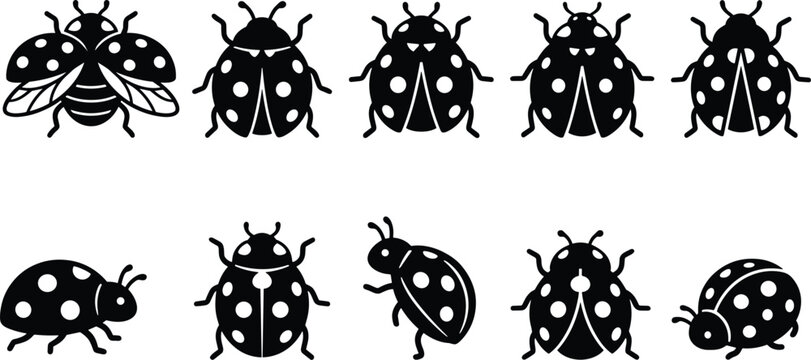 Set of black ladybug icons, ladybird beetle silhouettes, garden insect nature elements, isolated vector illustration, flat design.
