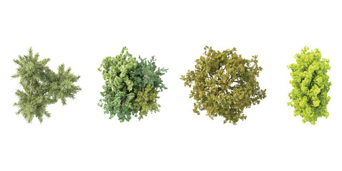Obraz premium Set of four green trees seen from above for architectural landscape design and garden plans isolated on white background