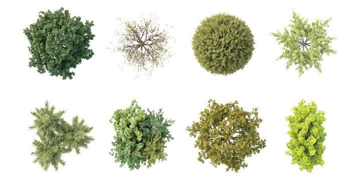 Set of eight different green trees seen from above for landscape design and architectural plans isolated on white background