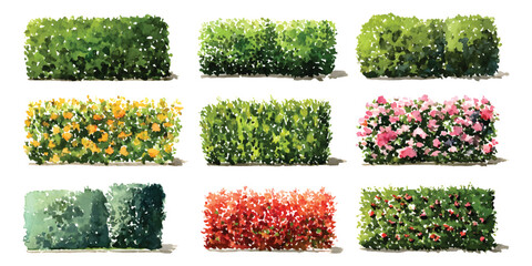 Obraz premium Watercolor set of trimmed garden hedges, floral shrubs, bushes, blooming foliage branches architectural landscape elevation elements, isolated on transparent background