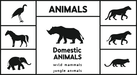 Wild and domestic animals infographic elements set with rhino elephant horse panther bird black vector silhouette icons collectionWild and domestic animals infographic elements set with rhino elephant © Snowar