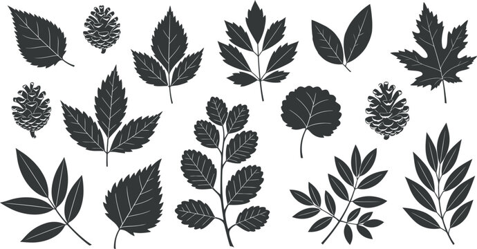 Black silhouette collection of diverse leaves and pinecones isolated on transparent background vector illustration