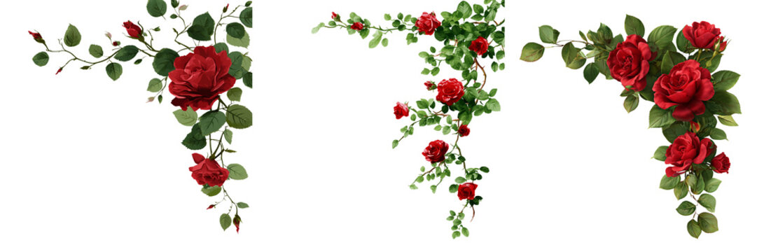 Set of Red Roses Corner Border With Green Leaves, Flowers Floral on transparent png background. Ai generated