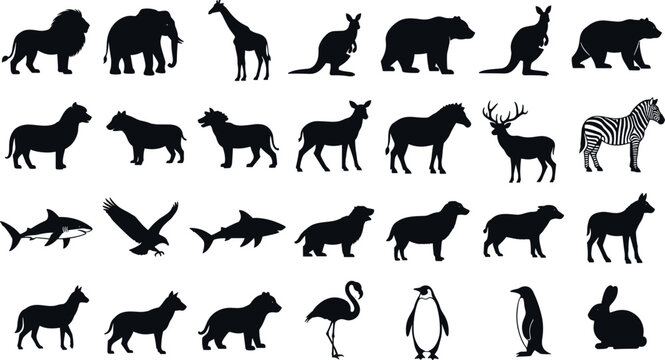 Wild Animals and Birds Black Silhouette Vector Icon Set Featuring Lion Elephant Giraffe Bear Kangaroo Deer Zebra Shark and Penguin Symbols for Wildlife DesignsWild Animals and Birds Black Silhouette V