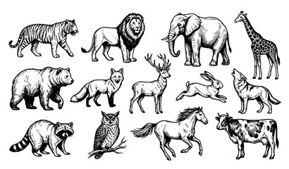 Wild Animal Engraving Vector Collection Set for Wildlife Education and Nature Design © Keyapayal