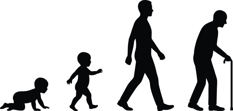Life cycle silhouette from infancy to seniority human development stages
