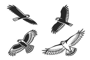 Obraz premium Four birds flying in a line formation