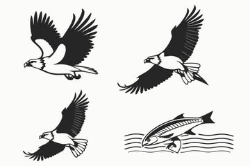 Obraz premium Four birds flying and swimming in nature