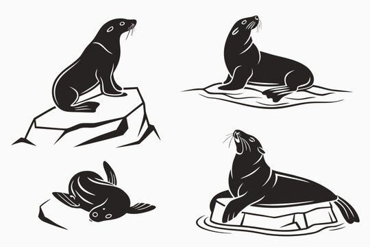 Four sea lions in different playful poses