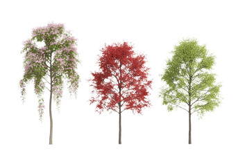 Obraz premium Three different decorative trees with pink, red, and green leaves isolated on transparent background
