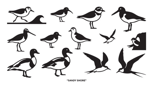 Set of sandy shore bird silhouettes for beach and nature design projects.