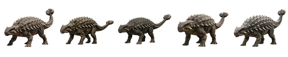 Fototapeta premium Ankylosaurus Dinosaur Collection: Set of Realistic Armored Herbivorous Dinosaurs in Various Walking Poses Isolated on White Background for Paleontology and Education