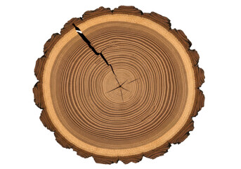 Fototapeta premium Cross section of a tree trunk isolated on transparent background