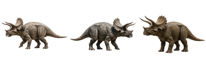Fototapeta premium Triceratops Dinosaur 3D Models: Realistic Prehistoric Herbivore Figures with Iconic Horns and Frills, Perfect for Paleontology Education and Digital Design Projects.