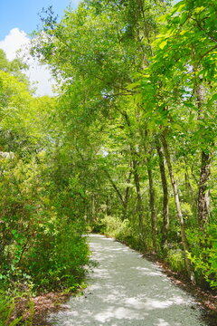 Boardwalk of Eureka Springs Park in Tampa, Florida, USA