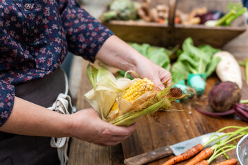 Fresh corn in farmer's hands © Rawpixel.com