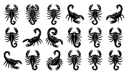 Vintage engraving style scorpion animal sketch collection with tattoo design wild insect vector illustration © RUBINA