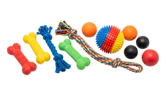 Assortment of colorful dog toys isolated on transparent background