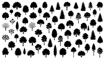 Fototapeta premium Tree Silhouette Mega Bundle – Oak, Pine, Fir, Willow, Cypress & Deciduous Landscape Architecture Symbols 