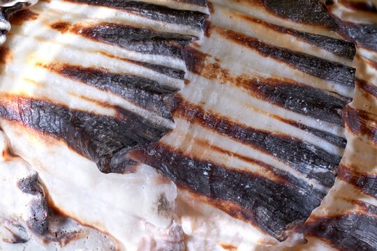 Close-up macro shot of the texture and patterns of a snail shell