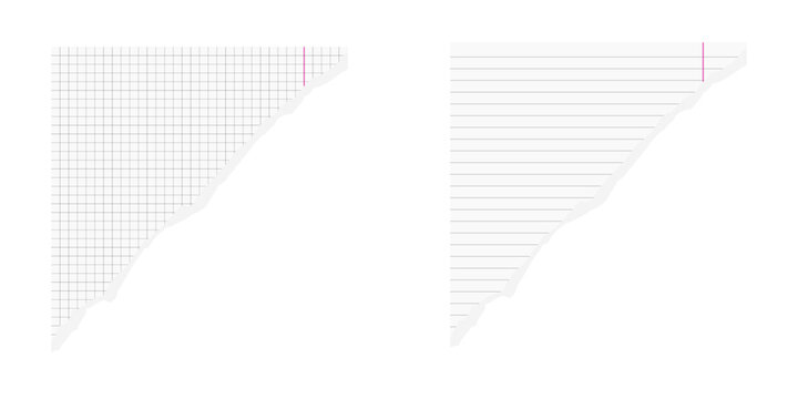 Torn piece of paper corner with squared grid and lined notebook pages vector isolated illustration