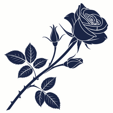 polyantha rose silhouette on white background