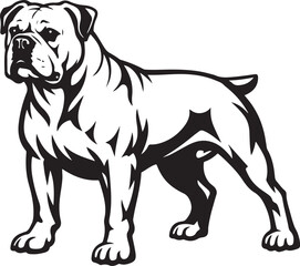 Fototapeta premium Bulldog Standing Isolated on White Background Black Lines
