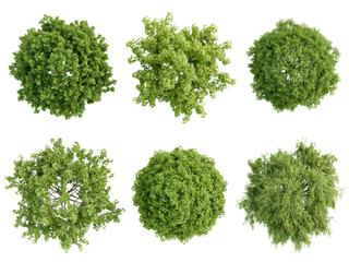 Obraz premium Top view of six different green trees isolated on transparent background.