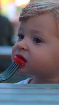 Toddler eating fresh tomato slice from fork during outdoor family lunch capturing healthy nutrition, curiosity and authentic everyday childhood dining lifestyle
