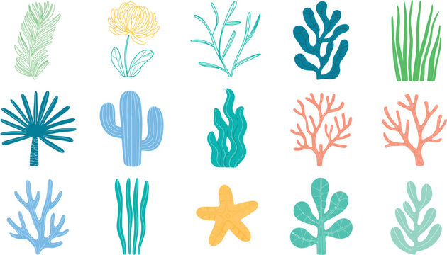 Set of twelve stylized underwater plants and coral reef elements in a flat vector design style.