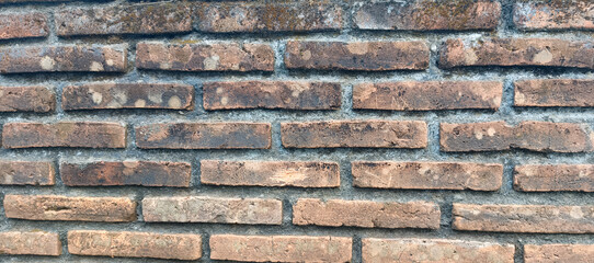 Fototapeta premium brick wall background
