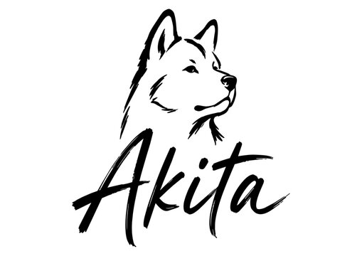 inimalist black and white Akita dog illustration combined with elegant handwritten typography. Modern brush style logo design featuring a proud Akita portrait, perfect for pet branding