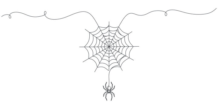 Spider Web and Hanging Spider One Line Art