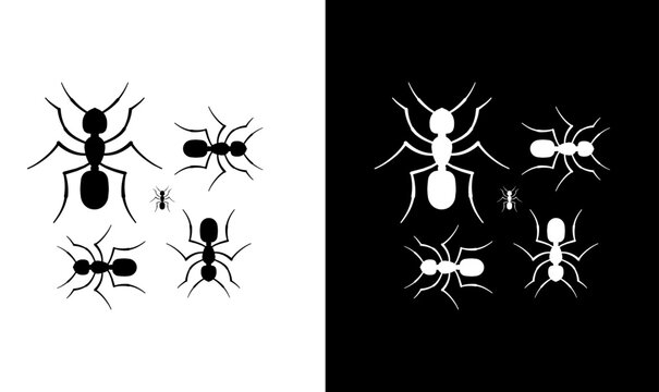 ants silhouette set vector illustration, ants colony silhouette set vector illustration, silhouette of ants set bundle vector illustration, ants, ant, set, bundle, fly, animals, animal, silhouette, 