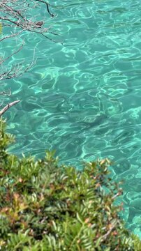 Crystal-clear turquoise waters at Cala Sa Nau framed by Mediterranean coastal vegetation, revealing the seabed beneath shimmering sunlight on Mallorca&rsquo;s southeastern coast.