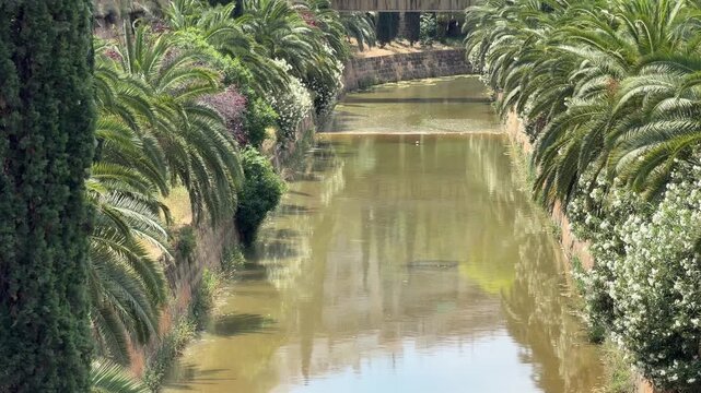 Tree lined canal at Torrent de sa Riera in Palma de Mallorca, surrounded by lush Mediterranean vegetation, elegant bridges and urban architecture on a sunny day.