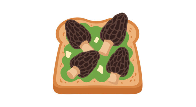 Toasted bread with avocado and morel mushrooms a healthy and delicious breakfast or snack